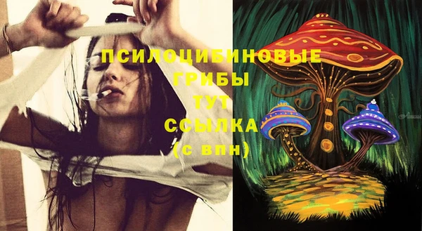 a pvp Абинск