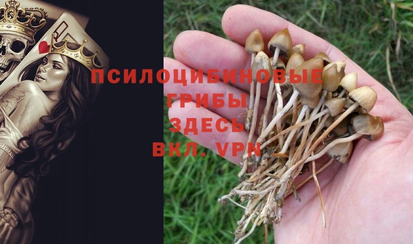 скорость Пересвет