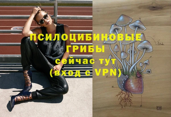 тгк Осташков