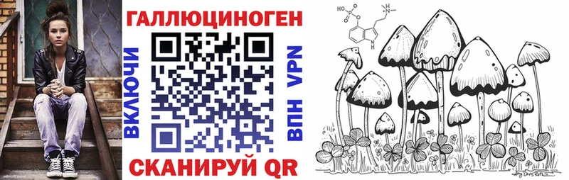Галлюциногенные грибы Psilocybine cubensis  Ирбит 