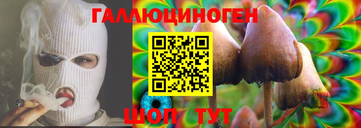 Псилоцибиновые грибы мицелий  Вход с VPN  Ирбит 